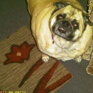 Meet your Posher, Blake